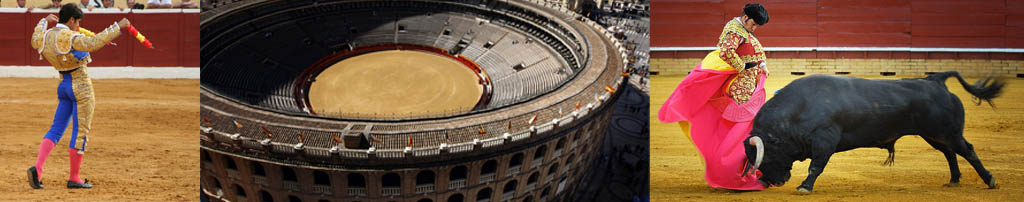 corrida toros bulls valencia