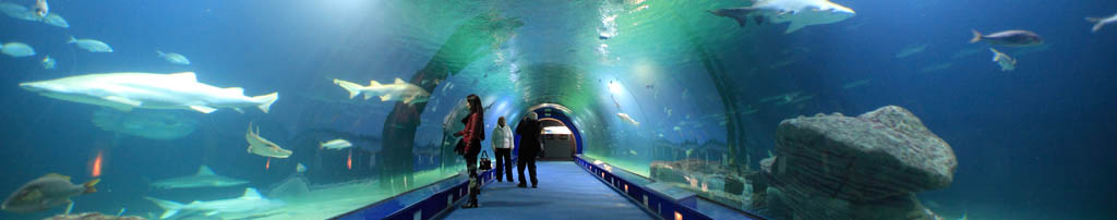 oceanografic valencia panoramica